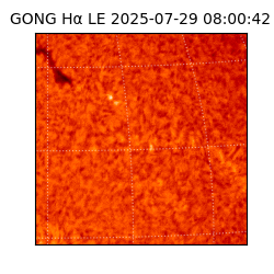 gong - 2025-07-29T08:00:42