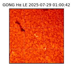 gong - 2025-07-29T01:00:42