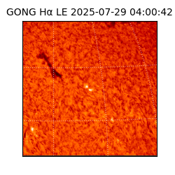 gong - 2025-07-29T04:00:42