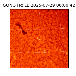 gong - 2025-07-29T06:00:42