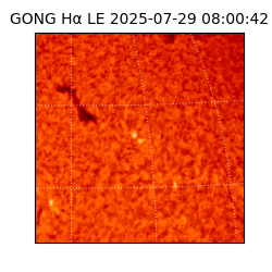 gong - 2025-07-29T08:00:42