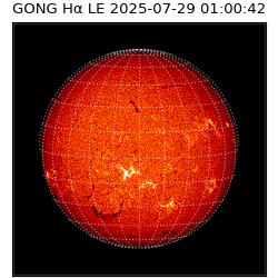gong - 2025-07-29T01:00:42