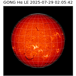 gong - 2025-07-29T02:05:42