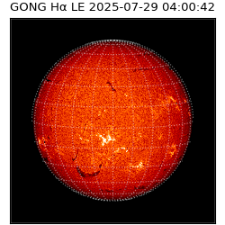 gong - 2025-07-29T04:00:42