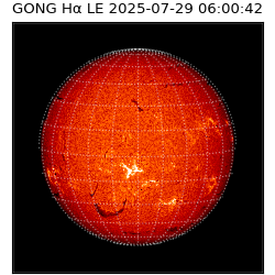 gong - 2025-07-29T06:00:42