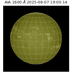 saia - 2025-08-07T19:00:14.126000