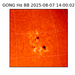 gong - 2025-08-07T14:00:02