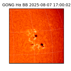 gong - 2025-08-07T17:00:02