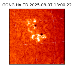 gong - 2025-08-07T13:00:22