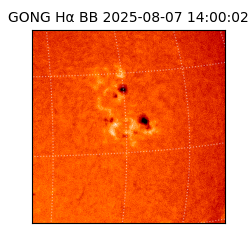 gong - 2025-08-07T14:00:02