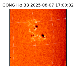 gong - 2025-08-07T17:00:02