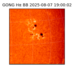 gong - 2025-08-07T19:00:02