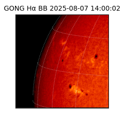 gong - 2025-08-07T14:00:02