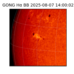 gong - 2025-08-07T14:00:02