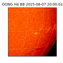 gong - 2025-08-07T20:00:02