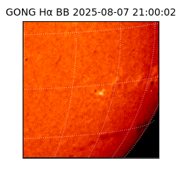 gong - 2025-08-07T21:00:02