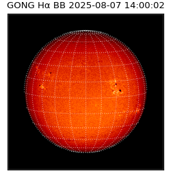 gong - 2025-08-07T14:00:02