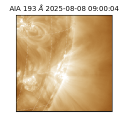 saia - 2025-08-08T09:00:04.846000