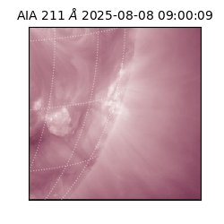 saia - 2025-08-08T09:00:09.629000