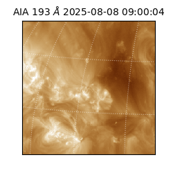 saia - 2025-08-08T09:00:04.846000