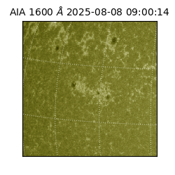 saia - 2025-08-08T09:00:14.126000