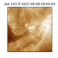 saia - 2025-08-08T09:00:04.846000