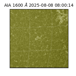 saia - 2025-08-08T08:00:14.125000