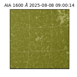 saia - 2025-08-08T09:00:14.126000