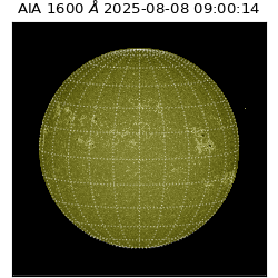 saia - 2025-08-08T09:00:14.126000