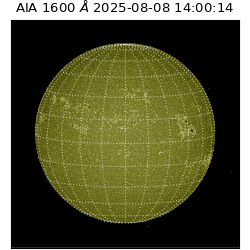 saia - 2025-08-08T14:00:14.126000