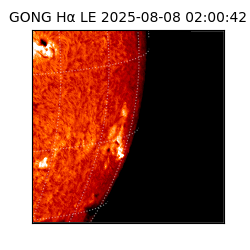 gong - 2025-08-08T02:00:42