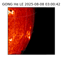 gong - 2025-08-08T03:00:42
