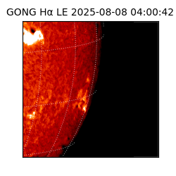 gong - 2025-08-08T04:00:42