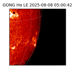 gong - 2025-08-08T05:00:42