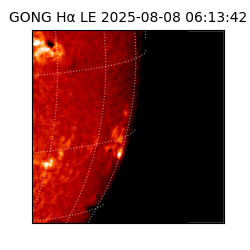 gong - 2025-08-08T06:13:42