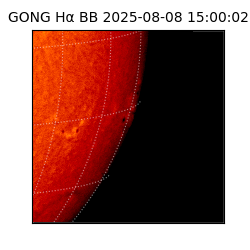 gong - 2025-08-08T15:00:02