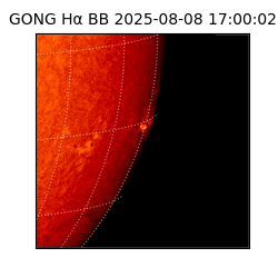 gong - 2025-08-08T17:00:02