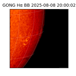 gong - 2025-08-08T20:00:02