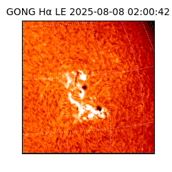 gong - 2025-08-08T02:00:42