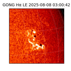 gong - 2025-08-08T03:00:42