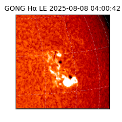 gong - 2025-08-08T04:00:42