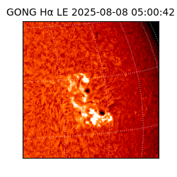 gong - 2025-08-08T05:00:42