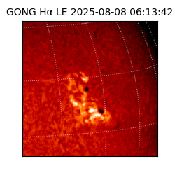 gong - 2025-08-08T06:13:42