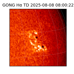 gong - 2025-08-08T08:00:22