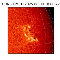 gong - 2025-08-08T10:00:22