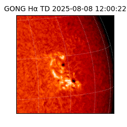 gong - 2025-08-08T12:00:22