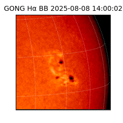 gong - 2025-08-08T14:00:02