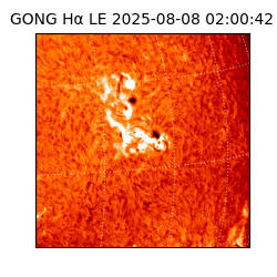 gong - 2025-08-08T02:00:42