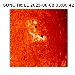 gong - 2025-08-08T03:00:42