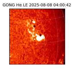 gong - 2025-08-08T04:00:42